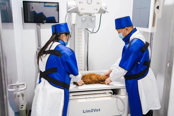 Equipamento médico veterinário de 32 kW Máquina de fluoroscopia em tempo real DR