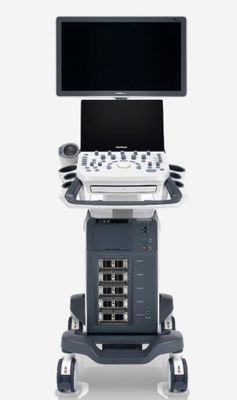 Bom preço Sistema do ultrassom de Doppler da cor de P20 Digitas construído na bateria on-line