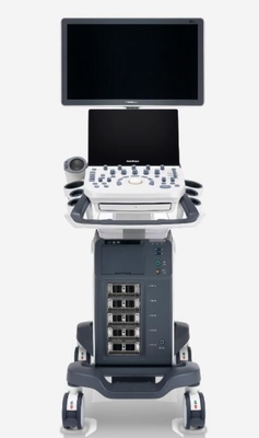 Good price Sistema do ultrassom de Doppler da cor de P20 Digitas construído na bateria on-line